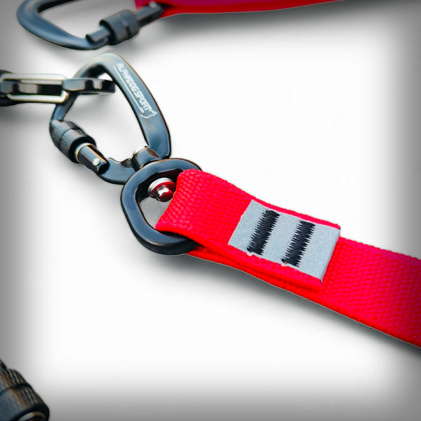 ZUGLEINE PRO+D V2 BIKEJÖRING/2 HUNDE