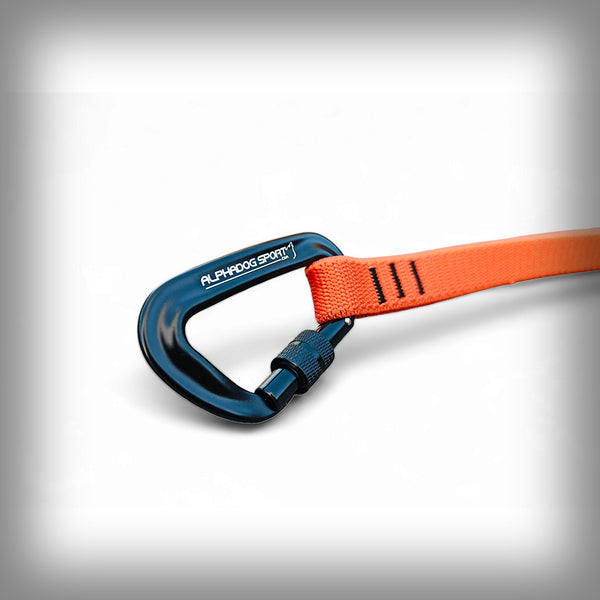 ZUGLEINE PRO+D V2 BIKEJÖRING/2 HUNDE