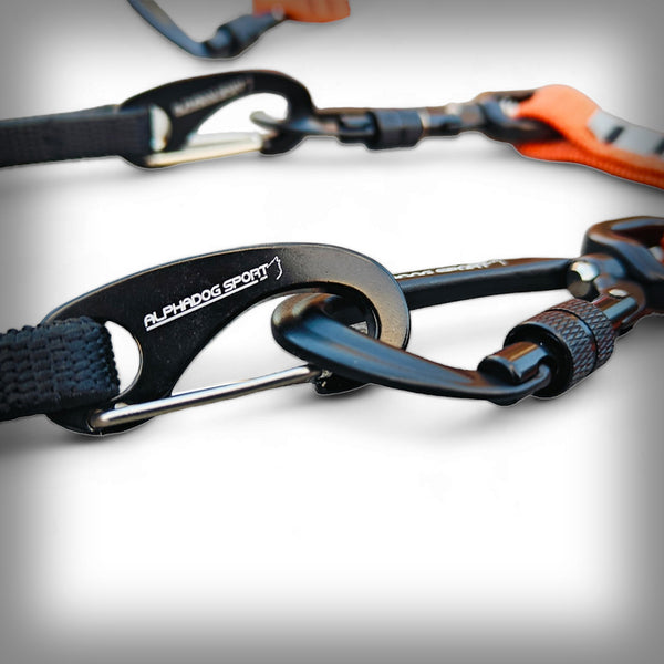 ZUGLEINE PRO+D V2 BIKEJÖRING/2 HUNDE