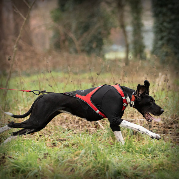 ALPHA PROTECTOR SHIRT