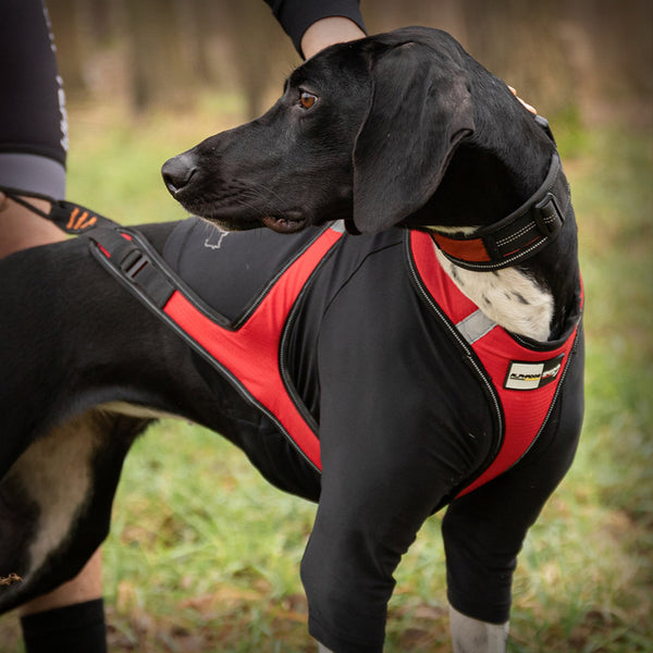 ALPHA PROTECTOR SHIRT