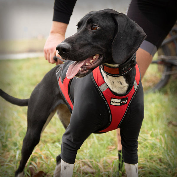 ALPHA PROTECTOR SHIRT