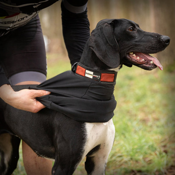 ALPHA PROTECTOR SHIRT