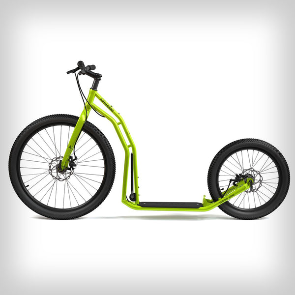 ARNI DISC 26"