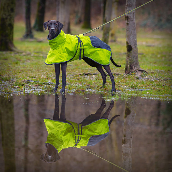 AXAECO 4 SEASON HUNDEMANTEL