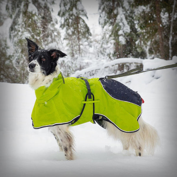 AXAECO 4 SEASON HUNDEMANTEL