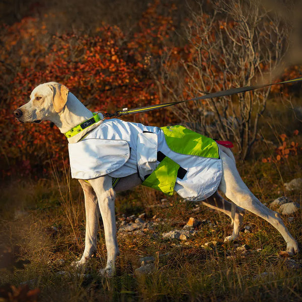 AXAECO REGENMANTEL WINDBREAKER