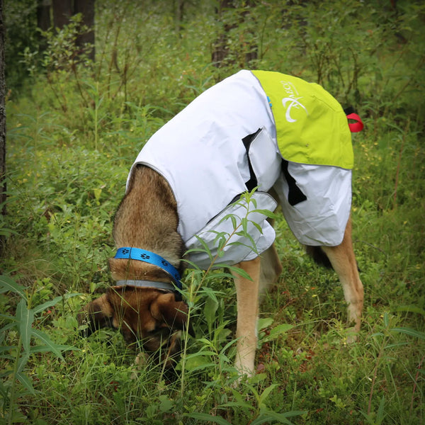 AXAECO REGENMANTEL WINDBREAKER