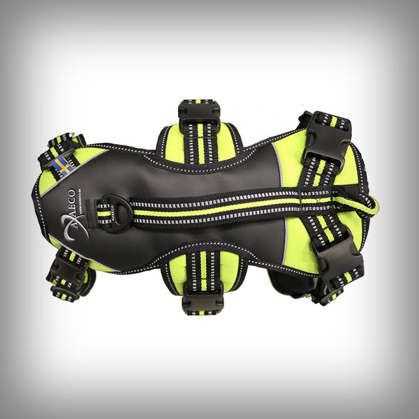 BRUSTGESCHIRR 4 SEASON BROAD PEAK