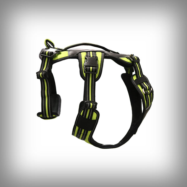 BRUSTGESCHIRR 4 SEASON BROAD PEAK