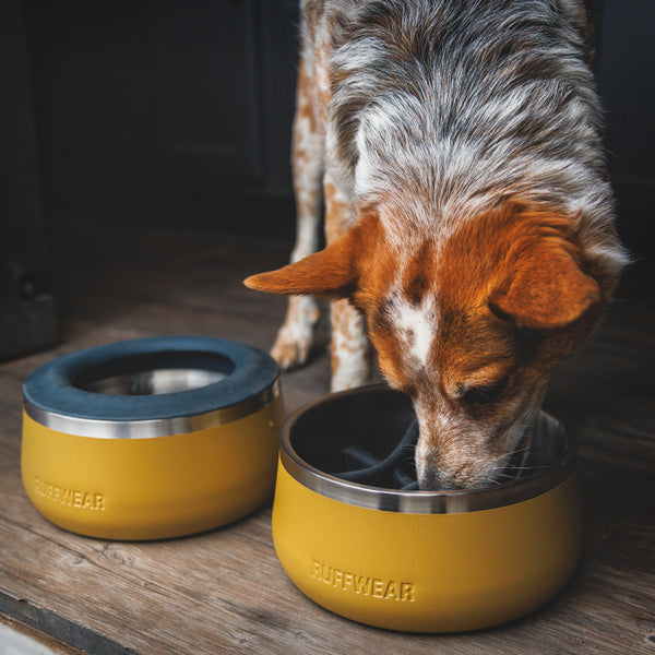 BASECAMP BOWL DOG BOWL