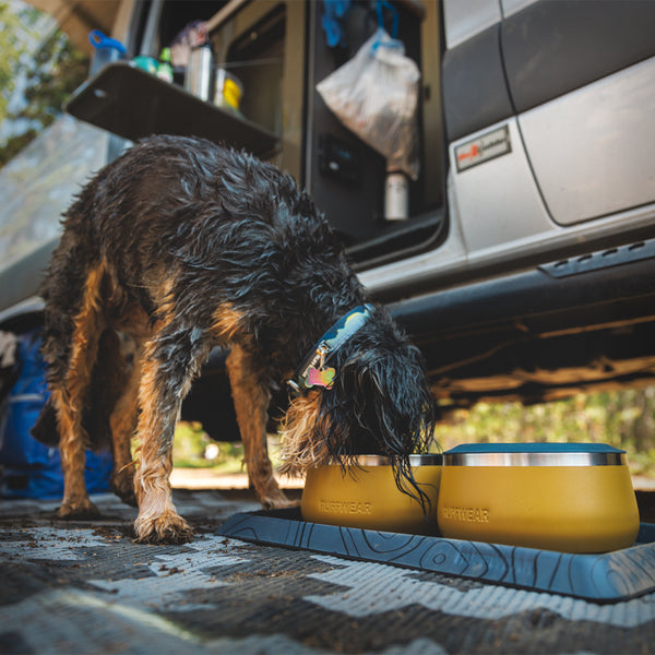 BASECAMP BOWL DOG BOWL