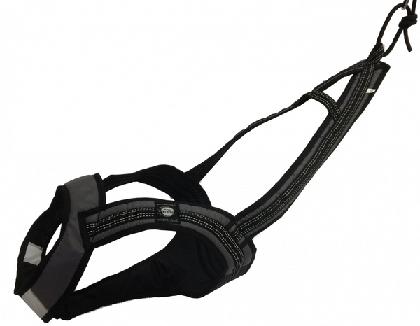 ZERO DC ZUGGESCHIRR FASTER