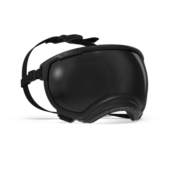 REX SPECS HUNDEBRILLE V2 X-LARGE