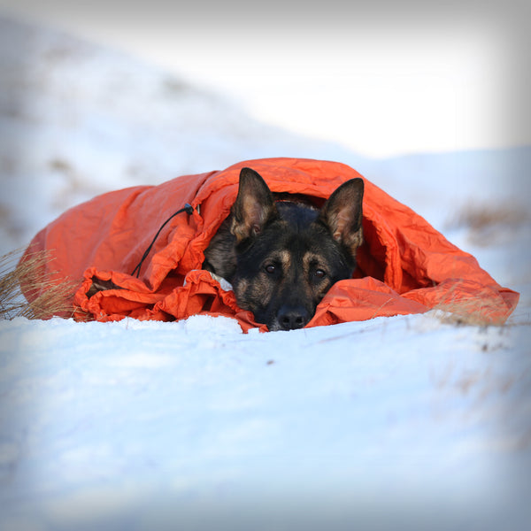 NON-STOP PROTECTOR BIVVY BAG