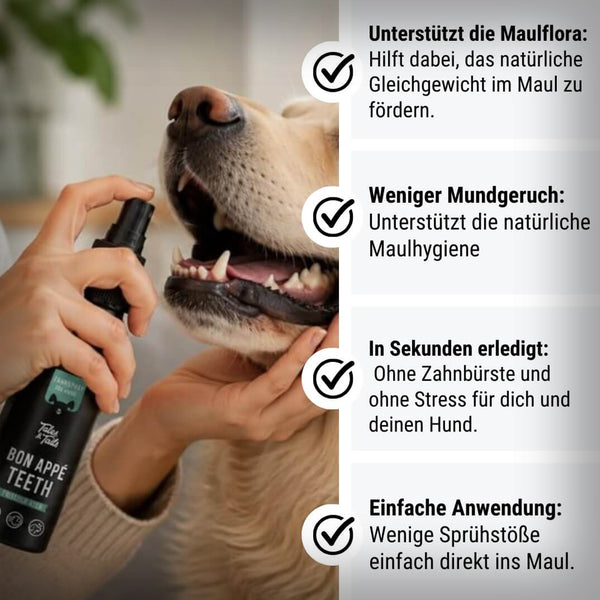 BON APPÉTEETH ZAHNREINIGUNG