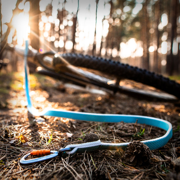 NON-STOP BUNGEE LEASH ICE BLUE
