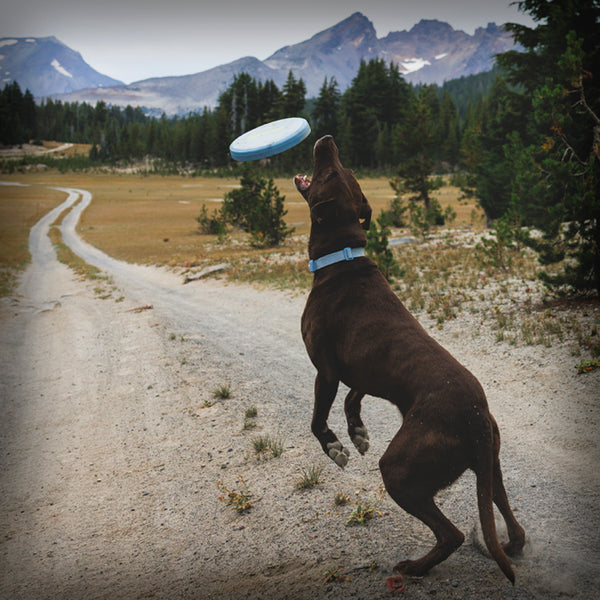 RUFFWEAR CAMP FLYER