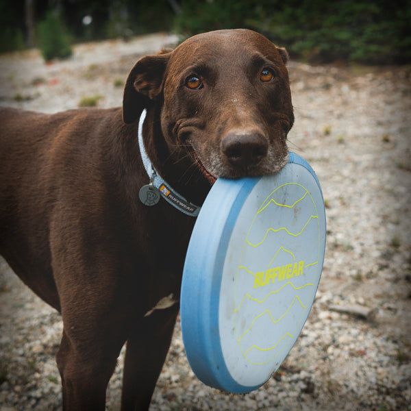 RUFFWEAR CAMP FLYER