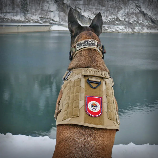 ALLTRAIL CC-K9 HUNDEGESCHIRR ECO LIGHT