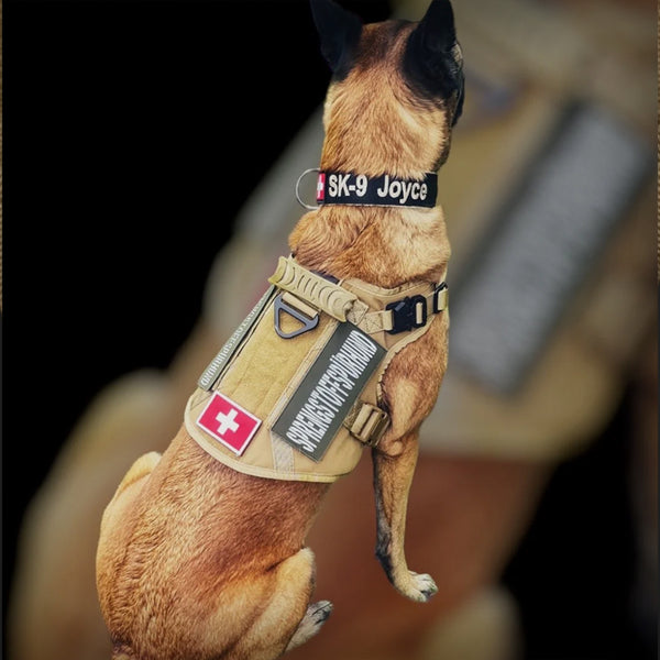 ALLTRAIL CC-K9 HUNDEGESCHIRR ECO LIGHT