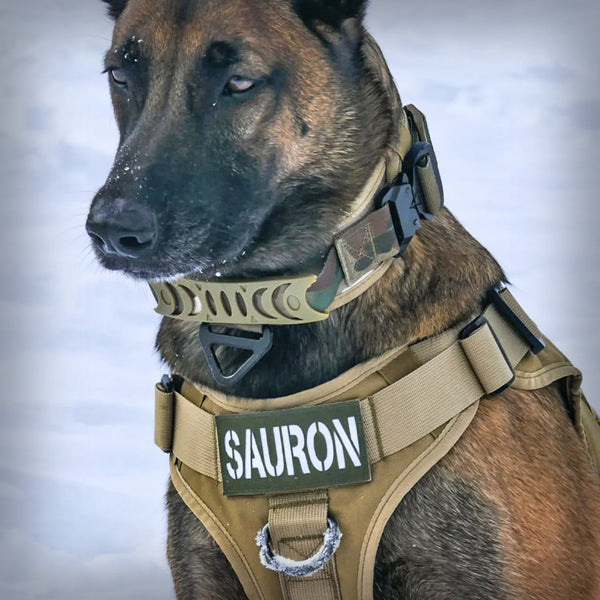 ALLTRAIL CC-K9 HUNDEGESCHIRR ECO LIGHT