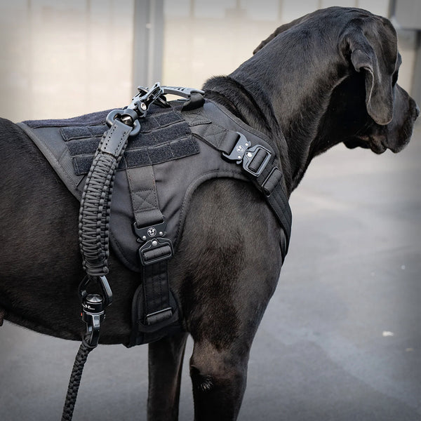 ALLTRAIL CC-K9 HUNDEGESCHIRR DELUXE