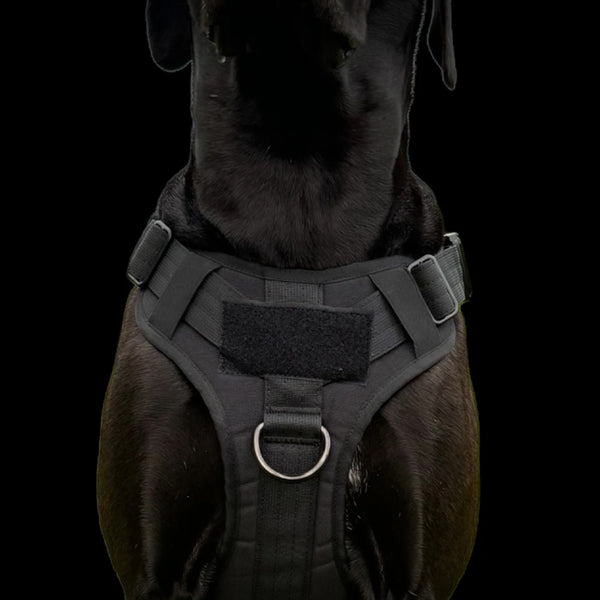 ALLTRAIL CC-K9 HUNDEGESCHIRR DELUXE