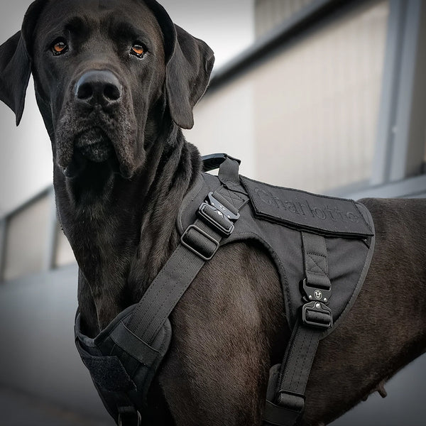 ALLTRAIL CC-K9 HUNDEGESCHIRR DELUXE