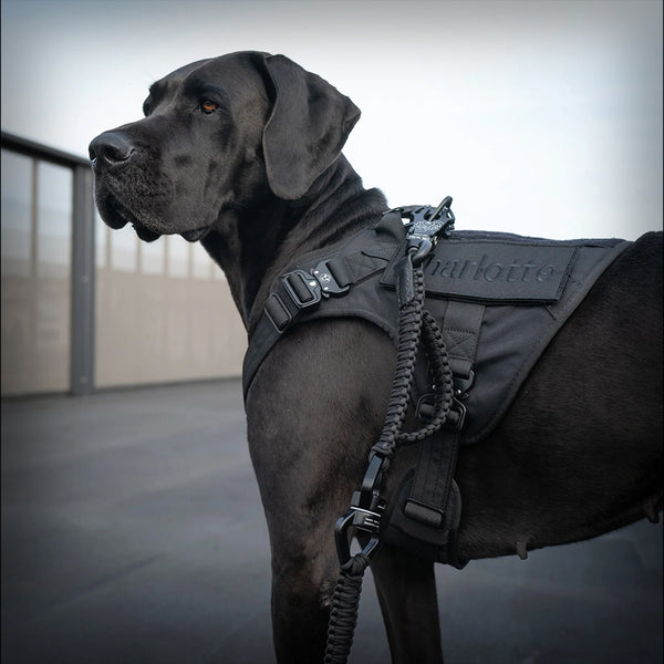 ALLTRAIL CC-K9 HUNDEGESCHIRR DELUXE