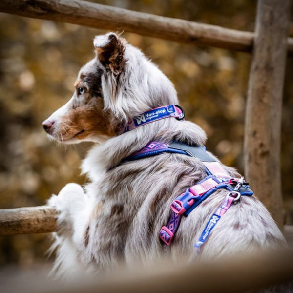 TRAIL QUEST HALSBAND R. POHL EDITION