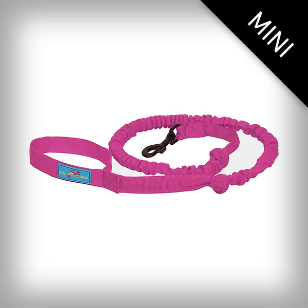 CROSSER 2 SD JOGGINGLEINE FÜR 1-HUND MINI