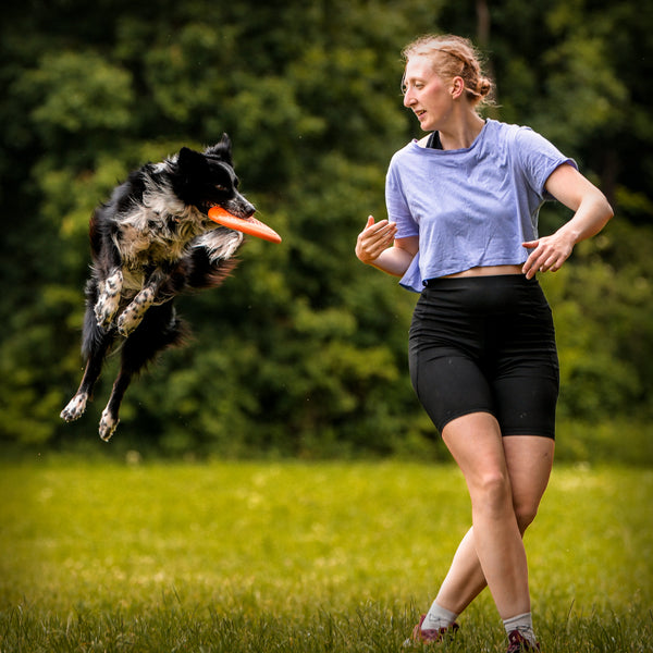 NON-STOP DOG FLYING DISC