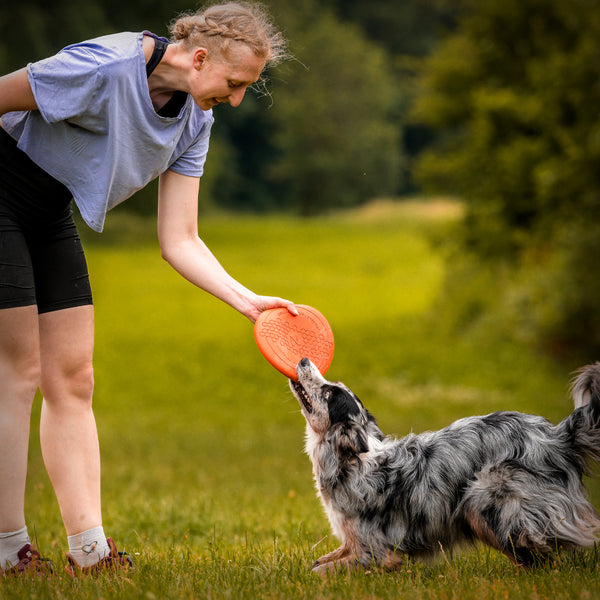 NON-STOP DOG FLYING DISC