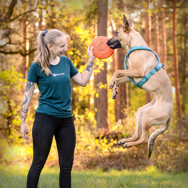 NON-STOP DOG FLYING DISC