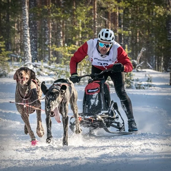 ESLA SCHLITTEN ADVENTURE