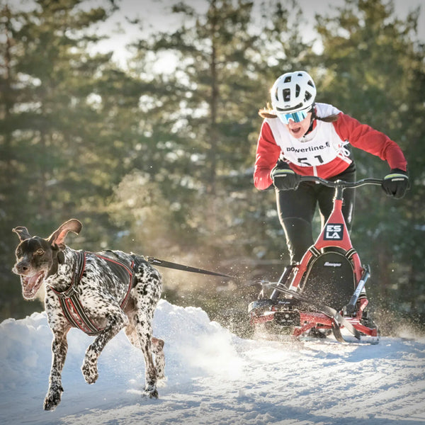 ESLA SCHLITTEN ADVENTURE