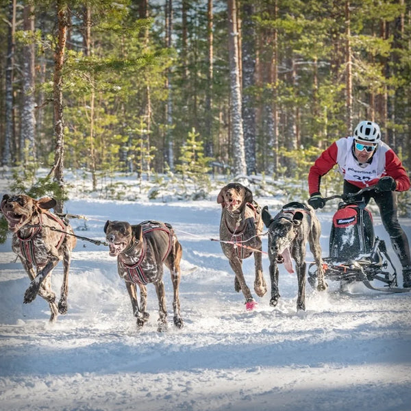 ESLA SCHLITTEN ADVENTURE