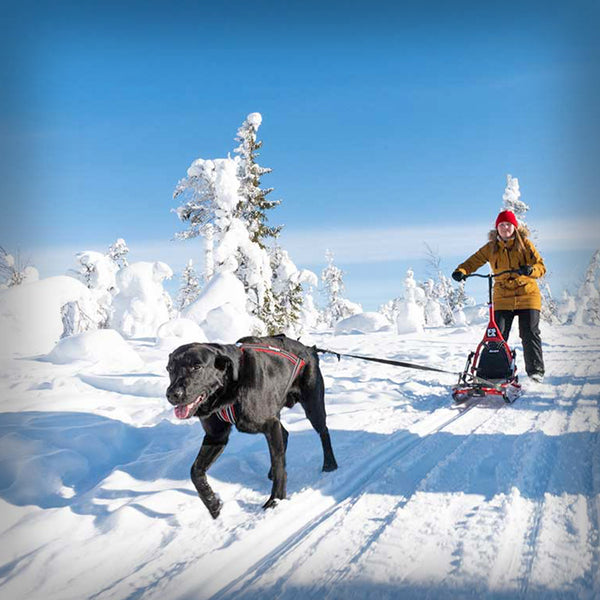 ESLA SCHLITTEN ADVENTURE