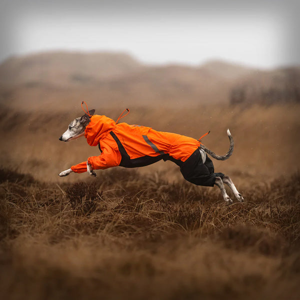 FJORD OVERALL RAINCOAT