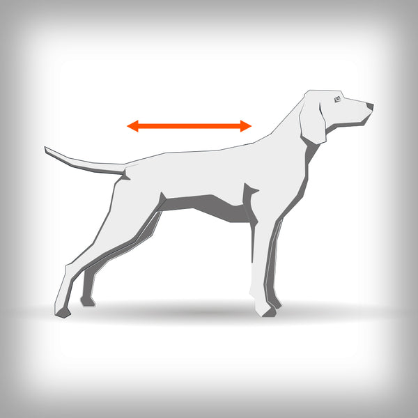 FJORD OVERALL RAINCOAT