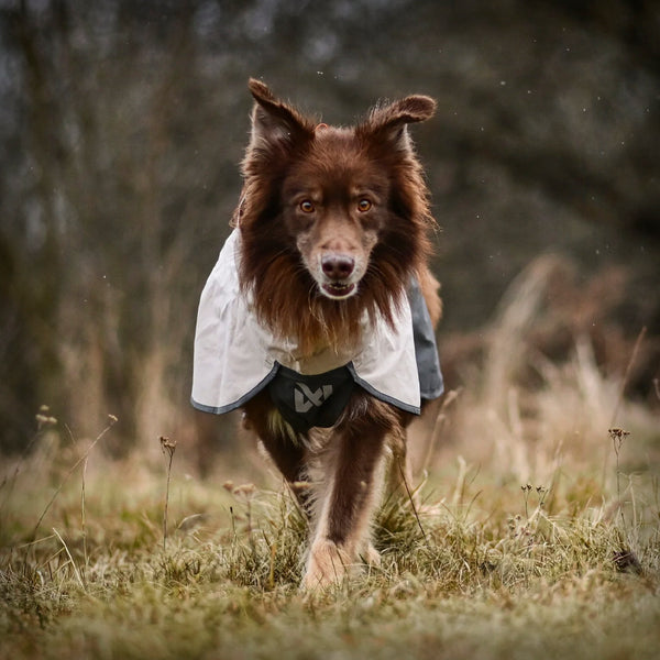 FJORD REGENWESTE 2.0