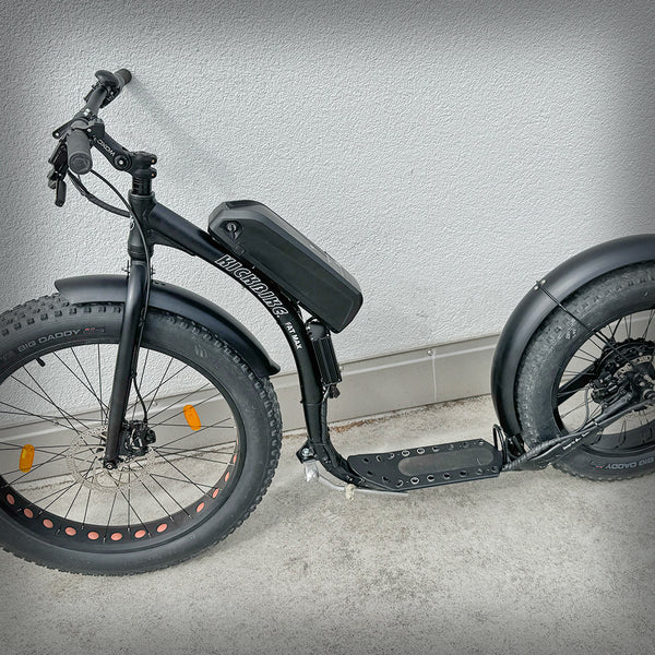 E-SCOOTER FATMAX E1000 OCCASION