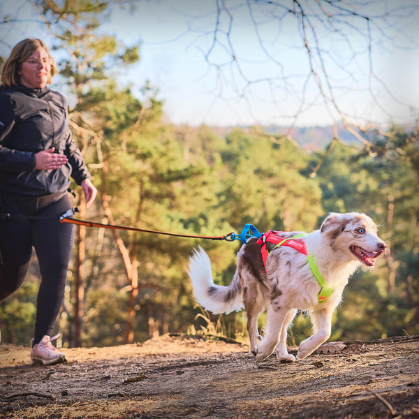 ZUGGESCHIRR FREEMOTION 5.0 LIMITED EDITION