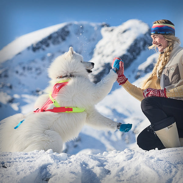 ZUGGESCHIRR FREEMOTION 5.0 LIMITED EDITION