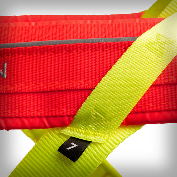 ZUGGESCHIRR FREEMOTION 5.0 LIMITED EDITION