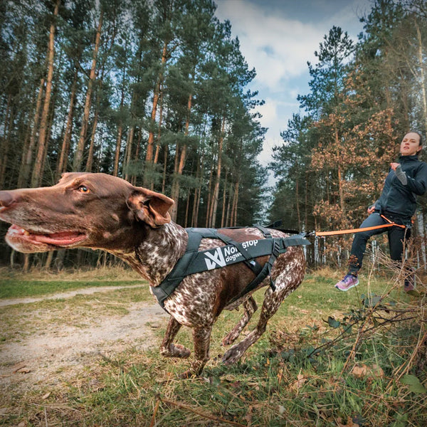 ZUGGESCHIRR FREEMOTION PRO
