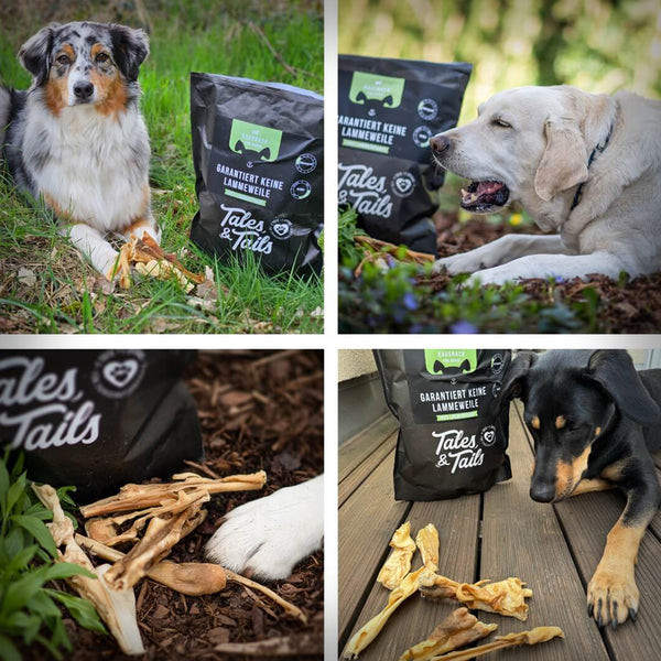 GARANTIERT KEINE LAMMEWEILE 500GR