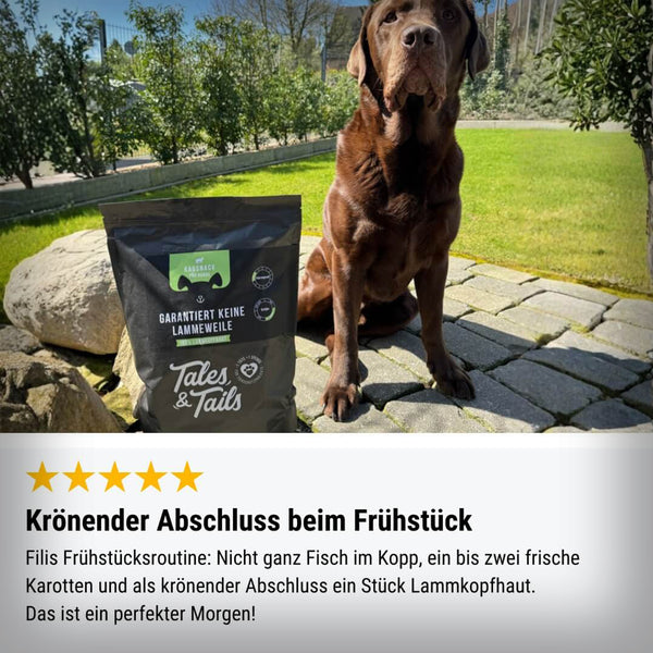 GARANTIERT KEINE LAMMEWEILE 500GR