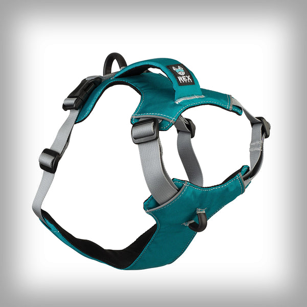 REX SPECS TRAILHEAD GESCHIRR